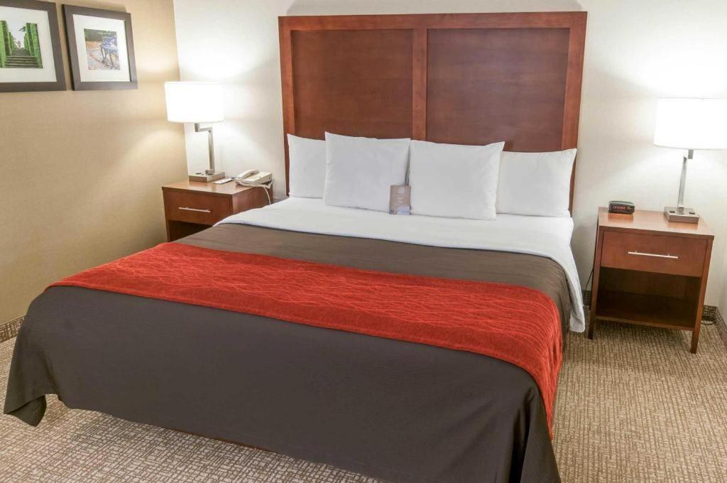 Comfort Inn Quantico Стаффорд Екстер'єр фото