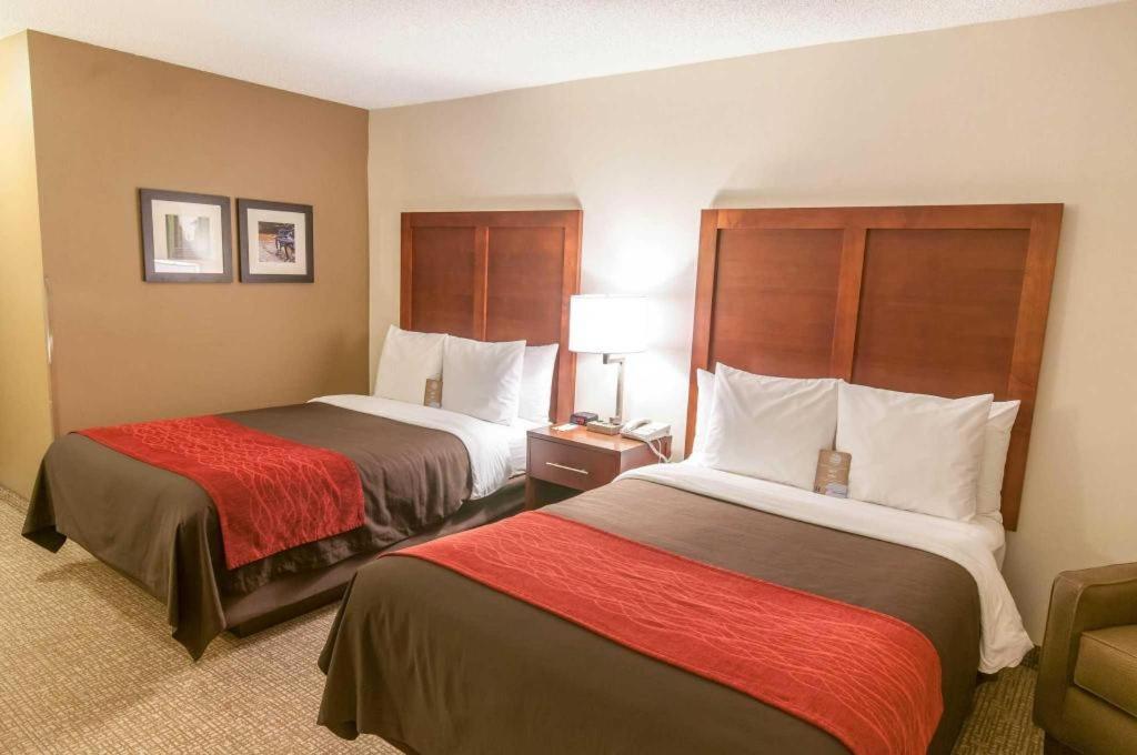 Comfort Inn Quantico Стаффорд Екстер'єр фото