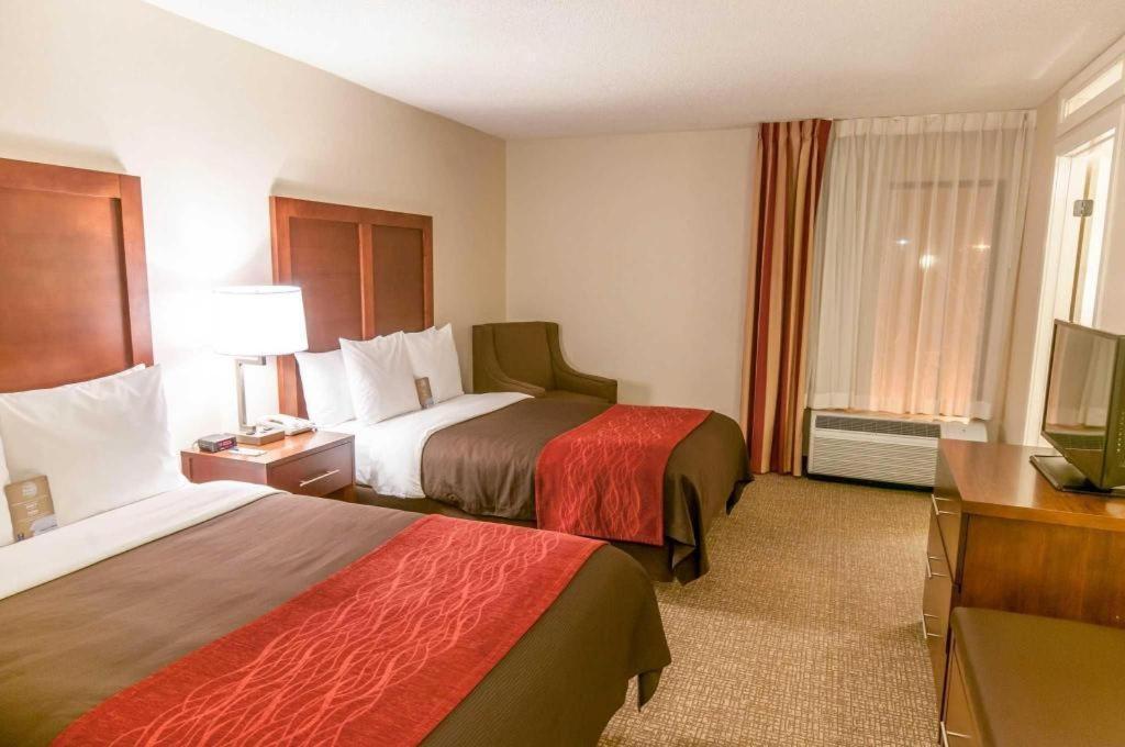 Comfort Inn Quantico Стаффорд Екстер'єр фото